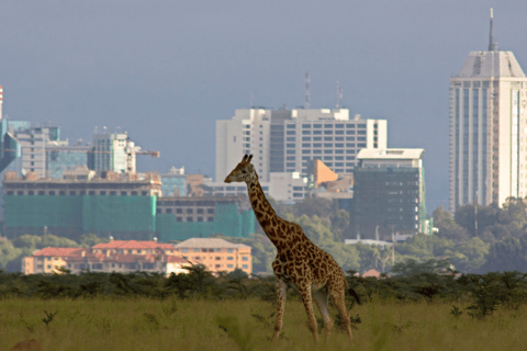 Nairobi: bustransfer van/naar MoshiEnkele reis van Nairobi naar Moshi