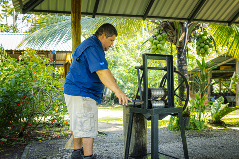 لا فورتونا: جولة الكسلان في متنزه بركان أرينال ووجبة خفيفة محلية