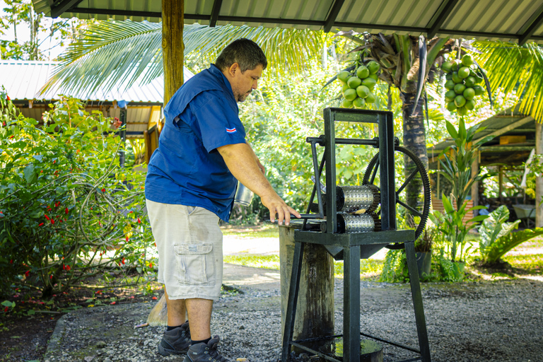 لا فورتونا: جولة الكسلان في متنزه بركان أرينال ووجبة خفيفة محلية