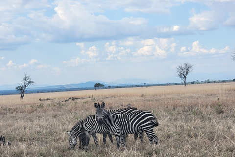 3-days 2-nights Zanzibar to Mikumi Safari wildlife-bye Boat