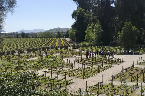 Excursión ampliada a Concha y Toro con 7 degustaciones y Lapislázuli