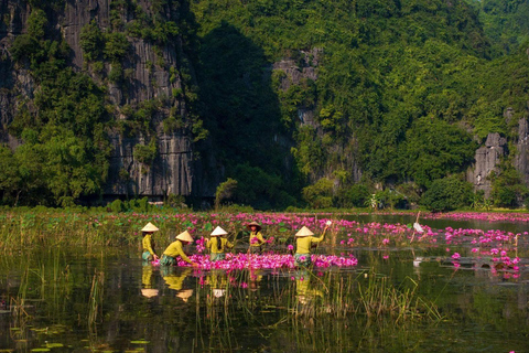 Hanoi: Parfümpagode mit Bootsfahrt oder Lotus-SeidendorfPrivate Tour: Parfümpagode, Lotus-Seidendorf und Weihrauch