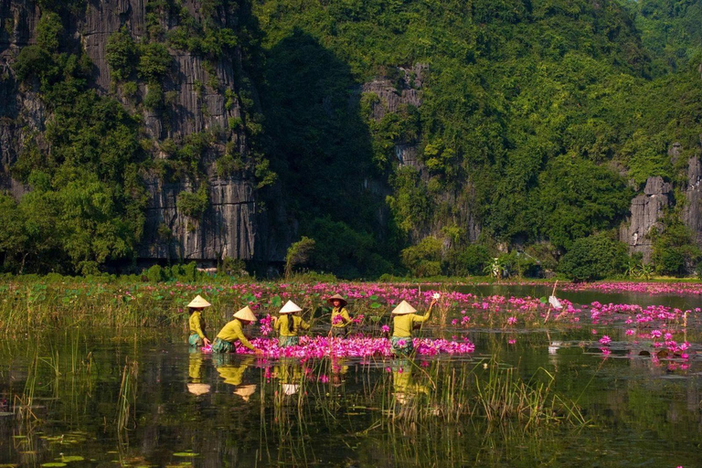 Hanoi: Parfümpagode mit Bootsfahrt oder Lotus-SeidendorfPrivate Tour: Parfümpagode, Lotus-Seidendorf und Weihrauch