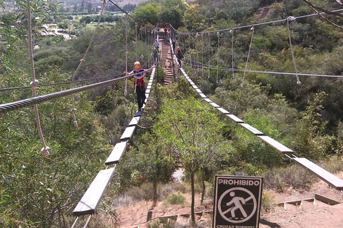 Ensenada: Las Cañadas Campamento Canopy Tour with Zip Lines