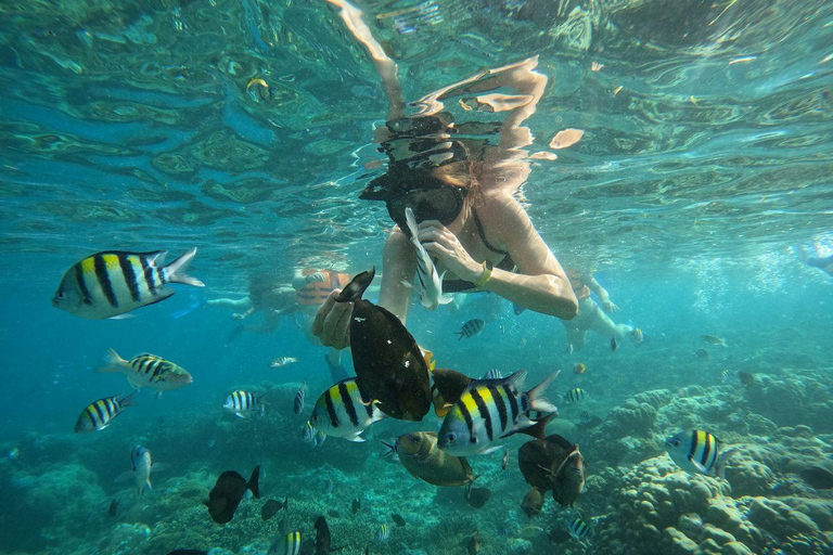 Lombok: Snorkeling Trip to The Best Two Gilis From Lombok