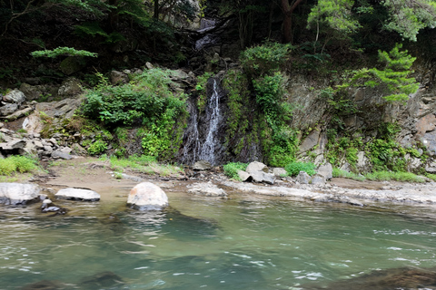 Kyoto: Arashiyama Highlights & Hozu River Boat Private Tour Private Tour (Pay Boat Cruise & Tickets on Site)
