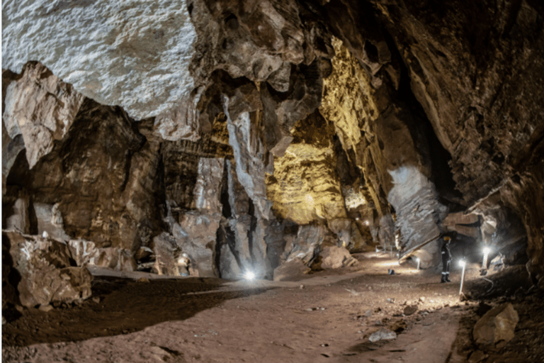 Johannesburg: Cradle Of Humankind & Fossil Discovery Tour