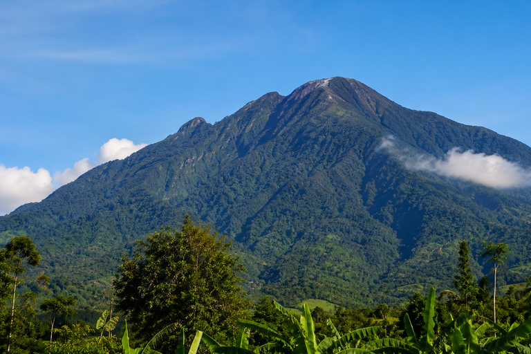 Discover mount of salak national park day trip from jakarta