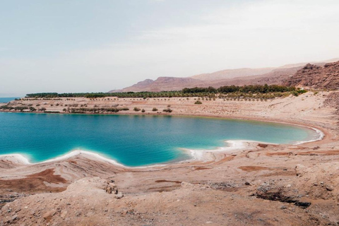 Petra, Wadi Rum & Dead Sea - One Day Private Tour From Amman: Petra, Wadi Rum & Dead Sea Private Day Tour