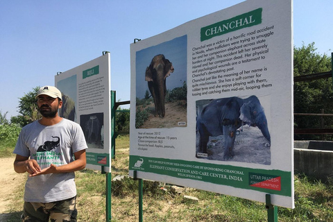 Da Agra: visita al viaggio di conservazione degli elefanti SOS Wildlife