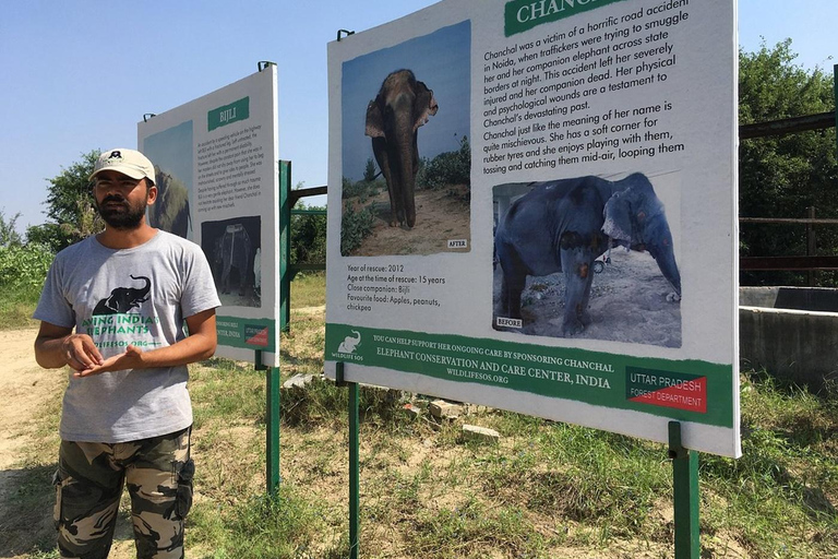 Da Agra: visita al viaggio di conservazione degli elefanti SOS Wildlife