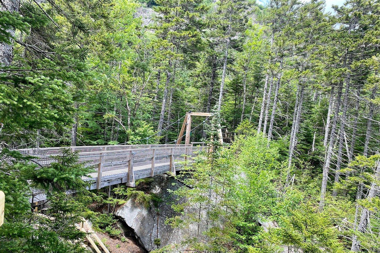 Boston Fall Day Trip to White Mountains, Lost River Gorge