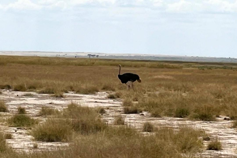 Nairobi: Amboseli National Park Day Trip with Lunch Luxury Landcruiser Option