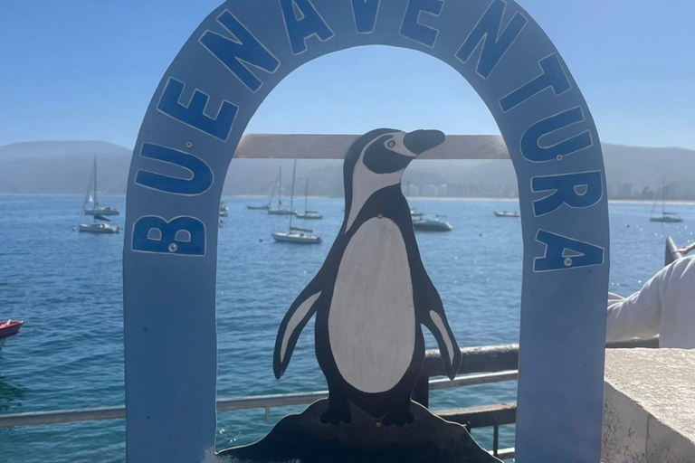 Papudo: Horseback Riding, Penguin Watching, and Sailing