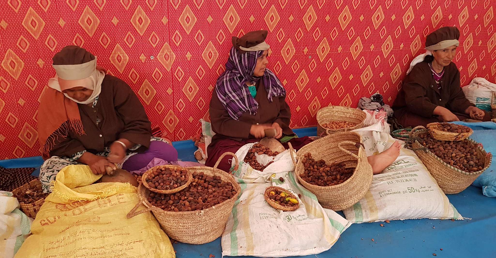 Luxus Tagesausflug nach Essaouira von Marrakesch - Hizvo