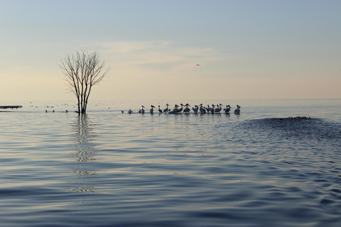 Door County: West Islands & Eagle Bluff Lighthouse Cruise