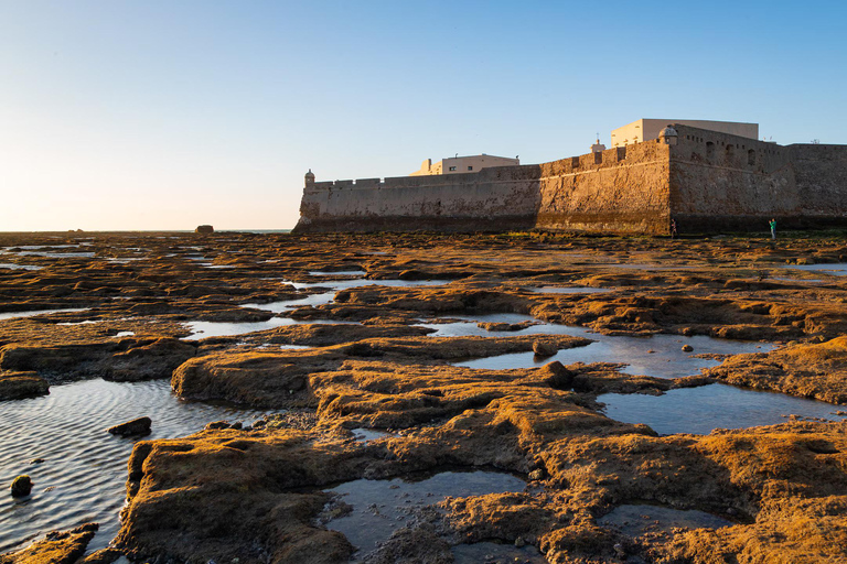 Cádiz: VIP Tuk Tuk TourCádiz: VIP Tuk Tuk Tour - ENGLISCH