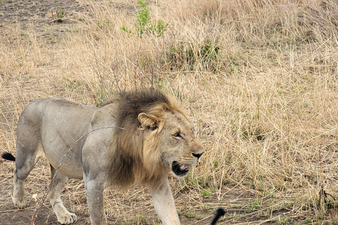 3-days 2-nights Zanzibar to Mikumi Safari wildlife-bye Boat