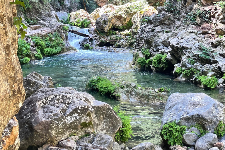 From Chefchaouen: Full-Day Trip to Akchour Waterfalls Small group tour