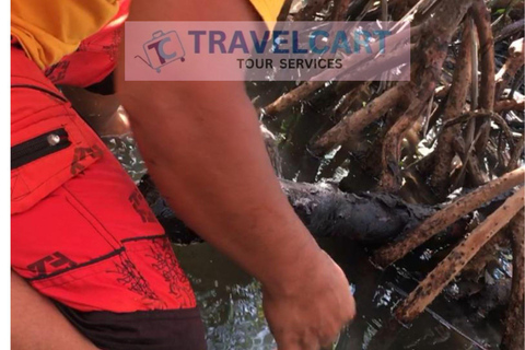 Partilha do rio subterrâneo com o barco a remos do mangue e ALMOÇA