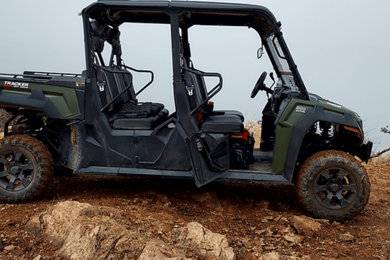 Cottonwood: UTV Rental with Trail Maps and Expert Advice 6 Person Tracker Crew Cab 2hrs.