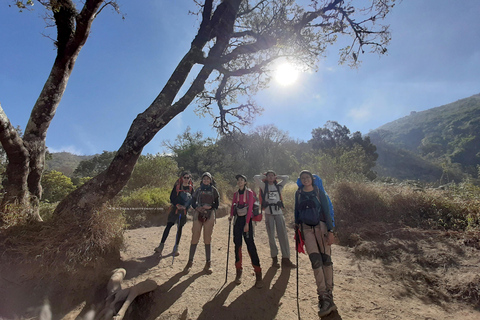 Excursión guiada al amanecer en el Monte Merbabu con opción de acampadaSenderismo de un día