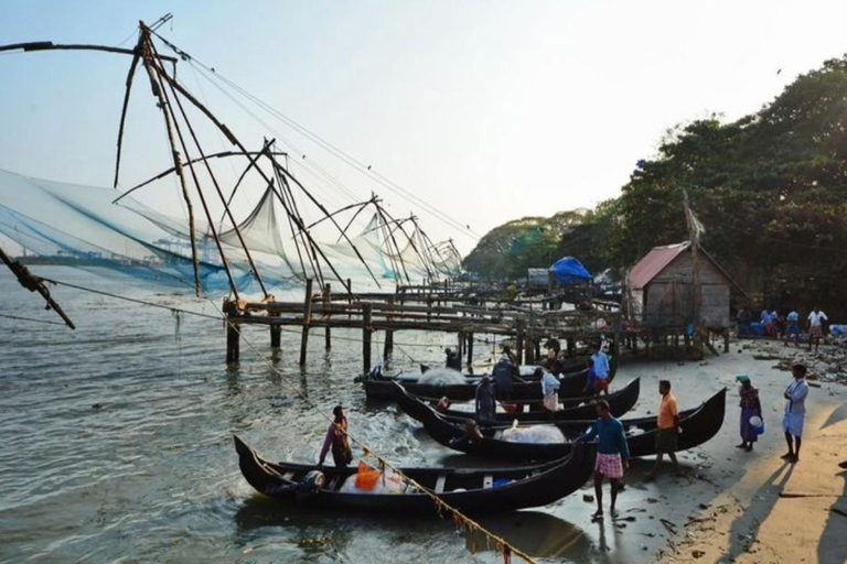 جولة ركوب الدراجات في ضوء القمر في كوتشي