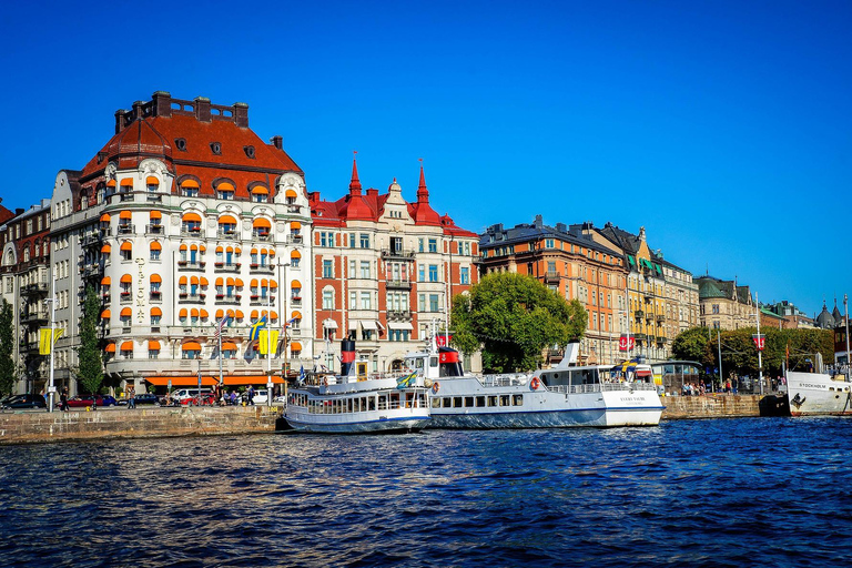 Visite d&#039;une demi-journée de Stockholm en VIP, y compris le musée du bateau Vasa