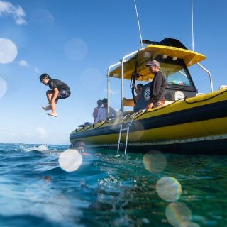 Oahu: North Shore Snorkeling Tour from Haleiwa