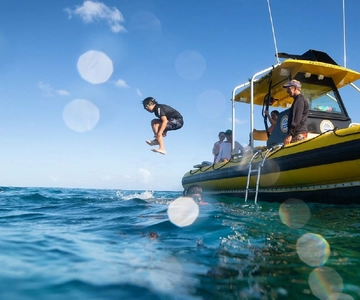 Oahu: North Shore Snorkeling Tour från Haleiwa