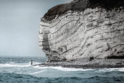 Visite du site de Stevns Klint et de la tour forestière au départ de Copenhague