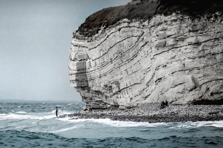 Stevns Klint, local classificado pela UNESCO, e excursão à Torre da Floresta a partir de Copenhaga