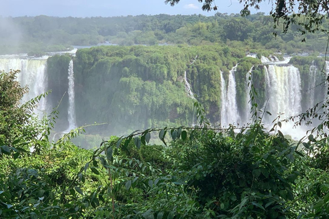 Foz do Iguaçu: Iguazu Falls Guided Tour with Transfers