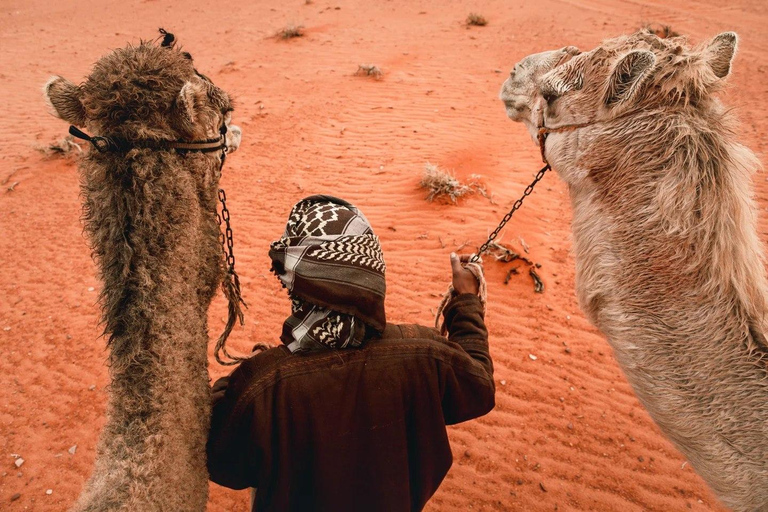 Wadi Rum All in One Day – The Ultimate Desert Discovery Wadi Rum All in One Day – The Ultimate Desert Discovery