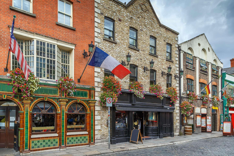 Dublin Private Tour with Skip-the-line Dublin Castle Tickets 3-hour: Old Town Tour with Dublin Castle Tickets