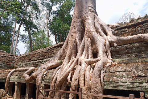 Privat endagstur med soluppgång vid Angkor Wat