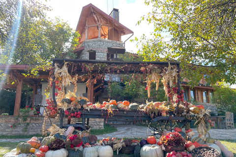Tbilissi : Visite privée des vignobles de Kakheti avec déjeuner en famille