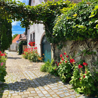 Szentendre Daytrip (Unesco World Heritage) - Housity