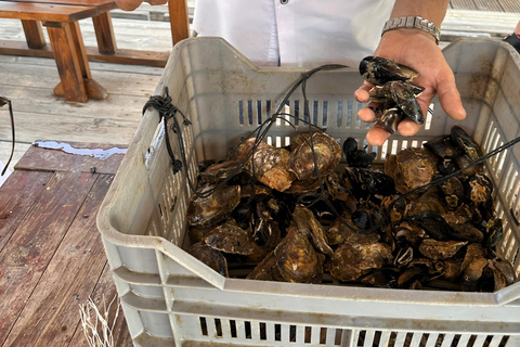 Oyster farm experience-private day trip from Dubrovnik