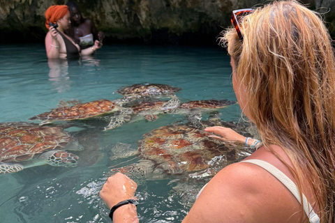 زنجبار: جولة في مزرعة التوابل وجولة في كهف السلامجولة خاصة مع النقل مشمول