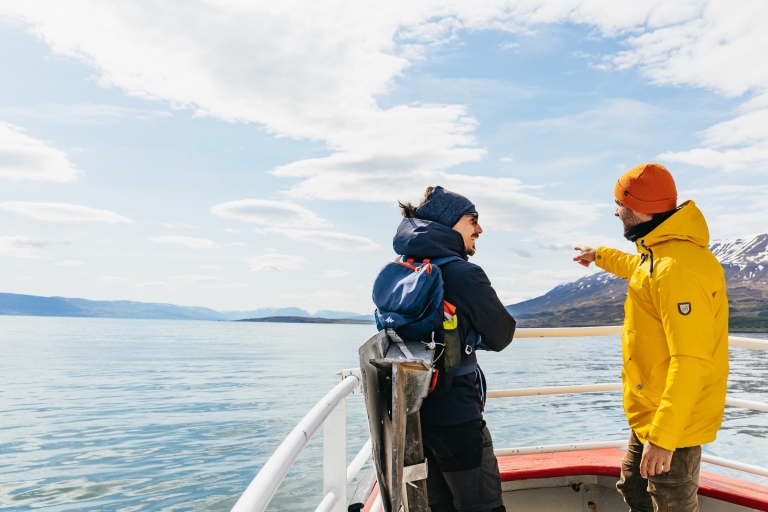 Akureyri: 3 Stunden klassische Tour zur Walbeobachtung