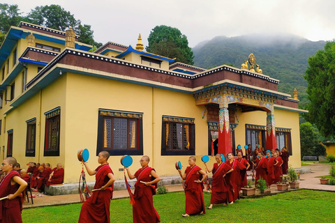 1 mois de retraite dans un monastère bouddhiste à Katmandou