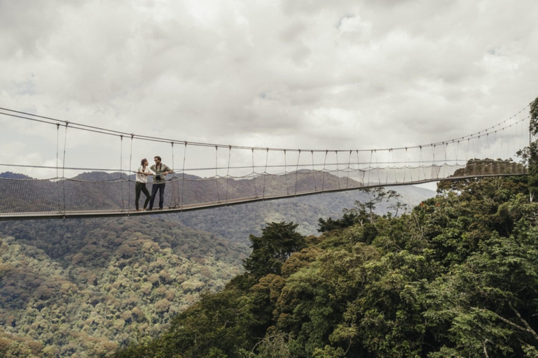 Kigali: 2-Day Nyungwe Canopy Walk, Zipline & Waterfall Tour
