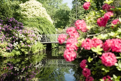 Trompenburg Botanical Gardens Entry Ticket