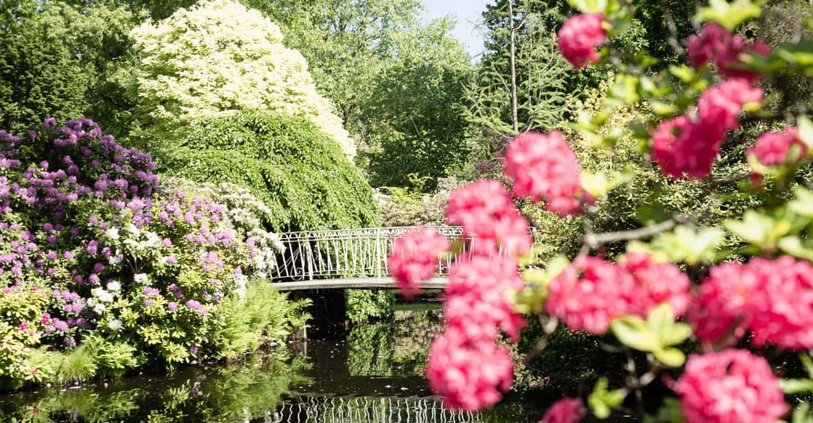 Impressie van Rotterdam: toegangsbewijs voor de Botanische Tuinen Trompenburg