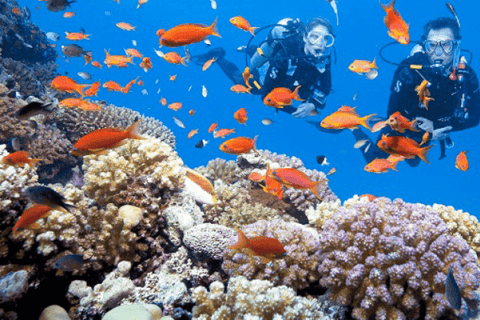 FR DA NANG: PASSEIO TURÍSTICO E DE MERGULHO COM SNORKEL NA ILHA CHAM