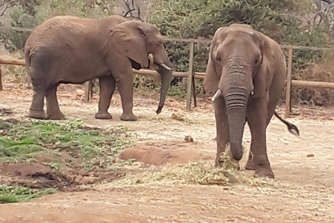 The Elephant and Monkey Sanctuary.
