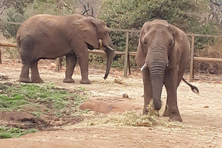 The Elephant and Monkey Sanctuary.
