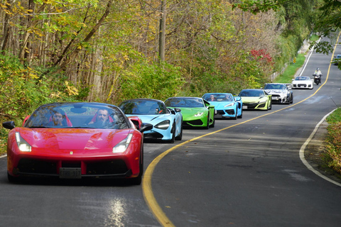 Hamilton Mountain: 3 Hour Exotic Car Tour with 5 Supercars