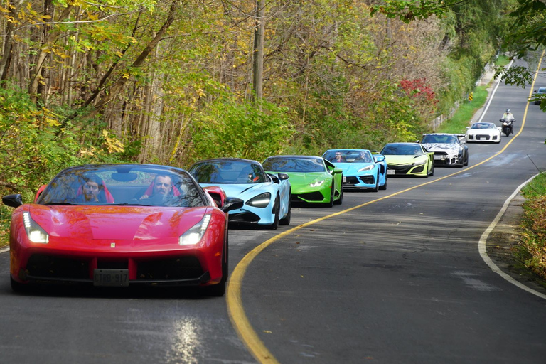 Hamilton Mountain: 3 Hour Exotic Car Tour with 5 Supercars